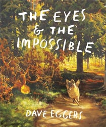 The eyes and the impossible
