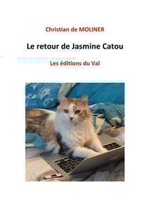 Les enquêtes de Jasmine Catou Tome 2 : le retour de Jasmine Catou