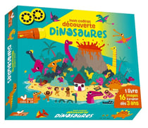 Mon coffret découverte : Dinosaures