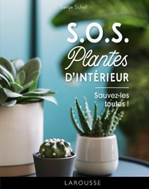 S.O.S. plantes d'intérieur : Sauvez-les toutes !