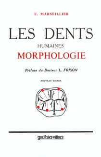 Les dents humaines