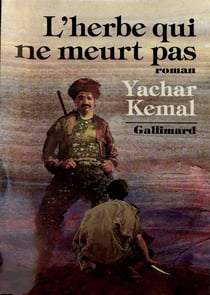 Au-dela de la montagne - iii - l'herbe qui ne meurt pas