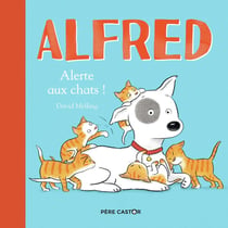 Alerte aux chats !