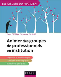 Animer des groupes de professionnels en institution