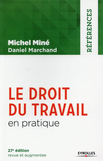 Le Droit Du Travail En Pratique (27E Édition)