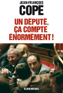 Un député, ça compte énormément !