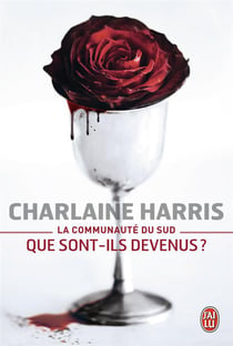 La communaute du sud - que sont-ils devenus ?