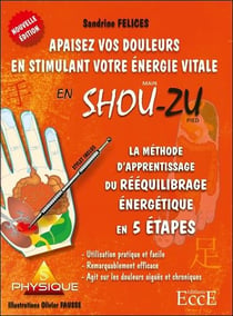 Méthode d'apprentissage du rééquilibrage énergétique en 5 étapes - apaisez vos douleurs en stimulant votre énergie vitale en shou-zu