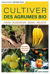 Cultiver des agrumes bio : choix - plantation - soins - récolte