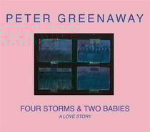 Four Storms & Two Babies : A Love Story