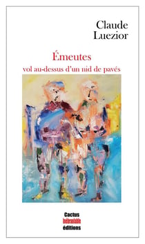 Émeutes : vol au-dessus d'un nid de pavés
