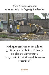 Politique environnementale et gestion des dechets menagers solides au cameroun - diagnostic institut