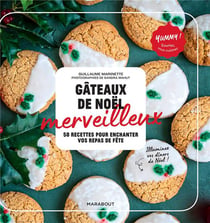 Gâteaux de Noël merveilleux : 50 recettes pour enchanter vos repas de fêtes