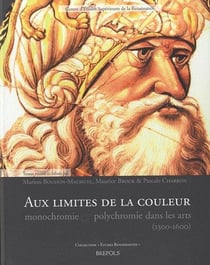 Études renaissantes Tome 7 : aux limites de la couleur : monochromie et polychromie dans les arts (1300-1650)