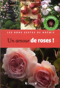 Un amour de roses !