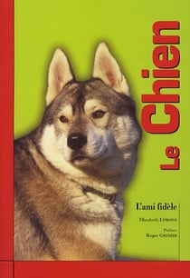Le chien. l'ami fidele