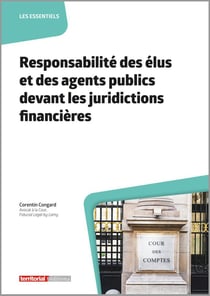 Responsabilité des élus et des agents publics devant les juridictions financières