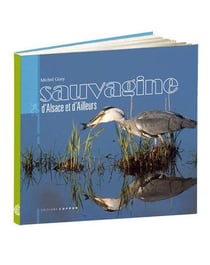 Sauvagine d'alsace et d'ailleurs