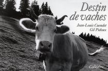 Destin de vaches