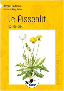Le pissenlit, l'or du pré !