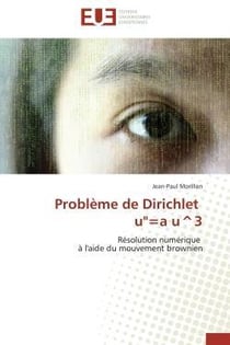 Probleme de dirichlet u'=a u^3 - resolution numerique a l'aide du mouvement brownien
