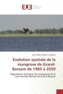 Evolution spatiale de la mangrove de Grand-Bassam de 1985 à 2030 : Dégradation drastique des mangroves de la zone humide Ramsar de Grand-Bassam