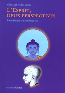 Esprit deux perspectives (l')