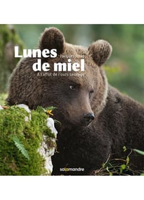 Lunes de miel - à l'affût de l'ours sauvage