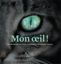 Mon oeil! les regards les plus fascinants du monde animal