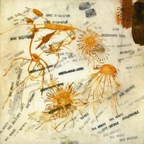 Since Washington