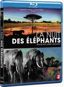 La Nuit des éléphants