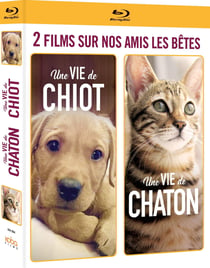 2 films sur nos amis les bêtes : Une vie de chiot + Une vie de chaton