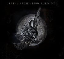 Bird burning