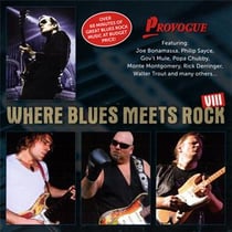 Where blues meets rock /vol.8