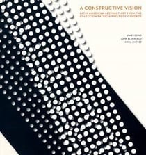A constructive vision