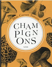 Carnet nature : champignons