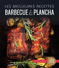 Barbecue et plancha