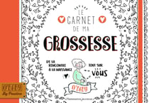 Le carnet de ma grossesse - de la rencontre à la naissance, tout sur vous