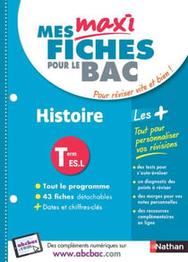 Mes maxi fiches abc du bac - histoire - terminale l, terminale es (édition 2018)