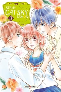Stray Cat & Sky Lemon Tome 3