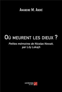 Où meurent les dieux ? : Petites mémoires de Nicolas Nowak, par Lily Lokajh