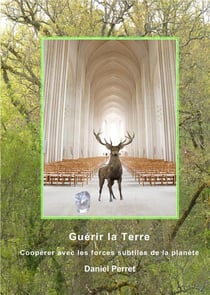Guérir la terre - coopérer avec les forces subtiles de la planète
