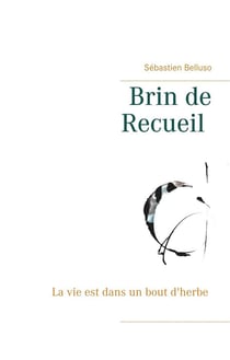 Brin de recueil - la vie est dans un bout d'herbe