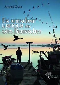 En attendant le retour des oies bernaches