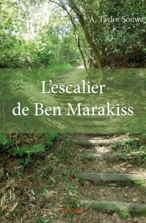 L'escalier de ben marakiss