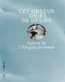 Cet obscur objet de désirs - autour de l'Origine du monde