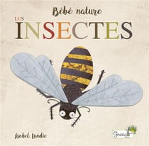 Bébé nature : les insectes