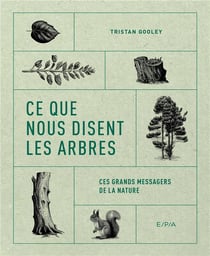 Ce que nous disent les arbres : Ces grands messagers de la nature