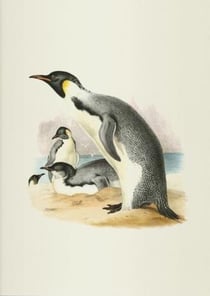 Carnet notes & lecture BNF: erebus et terror en Antarctique