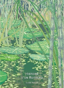 Histoire d'un ruisseau
